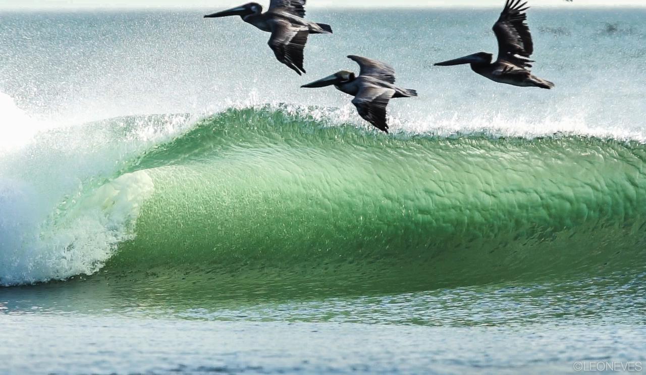 Вилла Miramar Surfcamp Пуэрто-Сандино Экстерьер фото